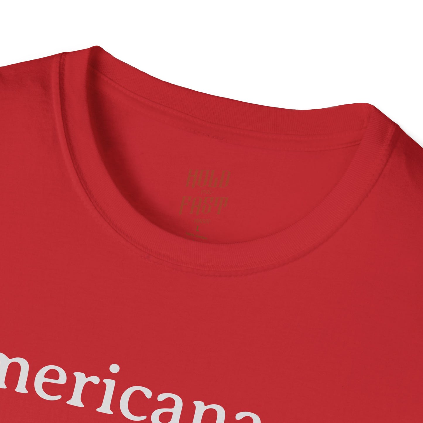 Definition Tee – Jiu-Jitsu Inspired "Americana"