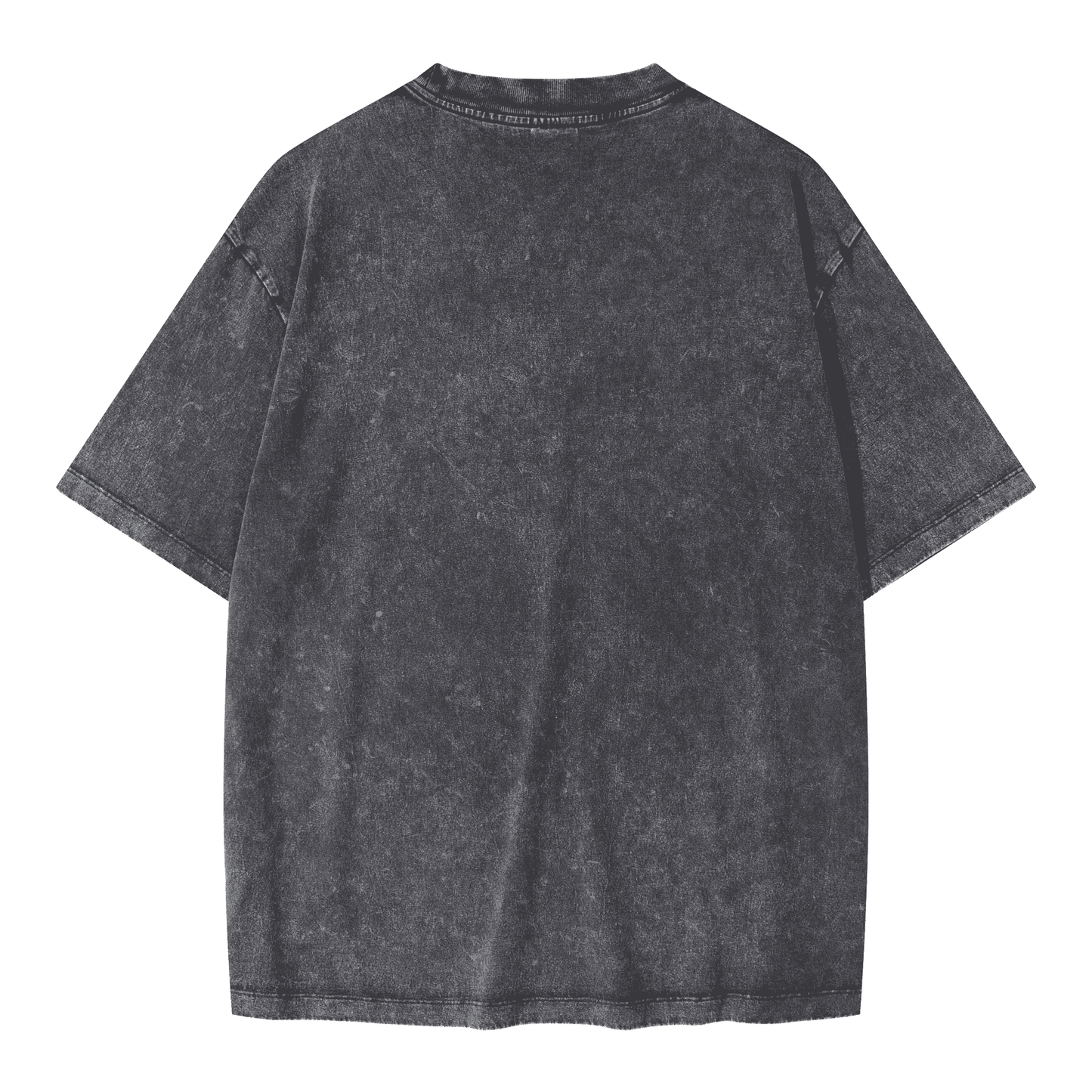 Guided by Sparrows Tee – Vintage Snow Wash Edition